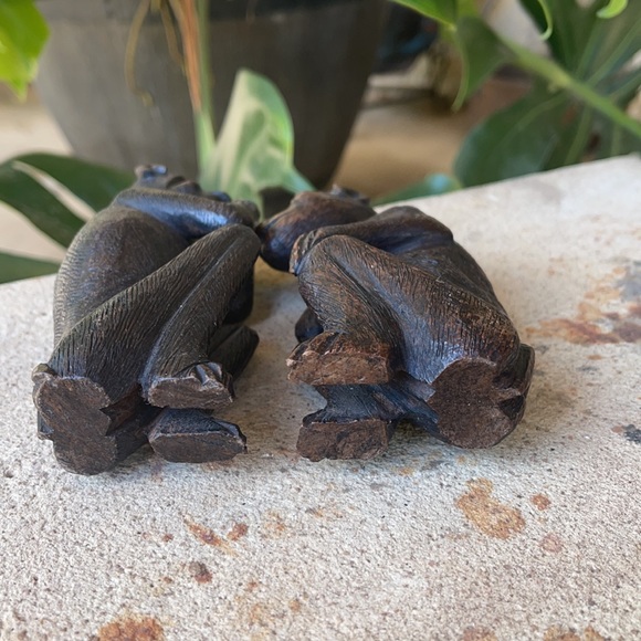 2 Monkeys - Picture 6 of 7